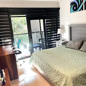 Ipana Dream Downtown Apartment *