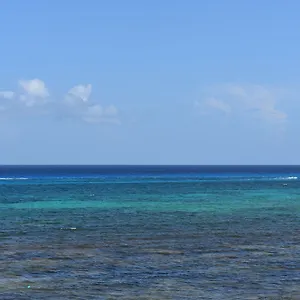 Ocean Plaza 17 By Playa del Carmen
