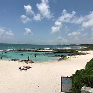 Playaturquesa Moderna Casa C/r Auto A 9 Min 5ta Ave Holiday home