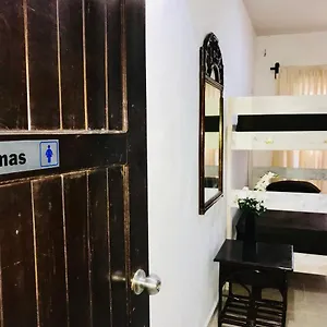 Guest house Bunk Bed In Female