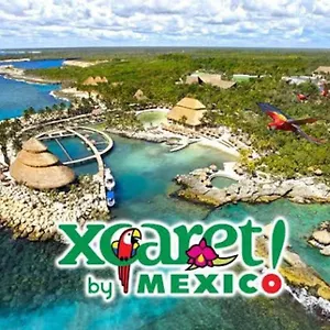 Apartment Moderno 1br Sauna Gimnasio Alberca A Cuadras De La 5ta Av Centro Playa del Carmen