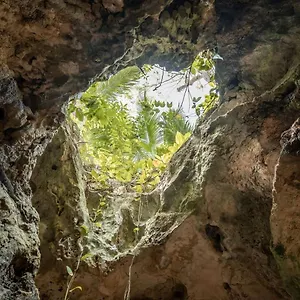 Xcaret Jungle Private Cave Luxury tent