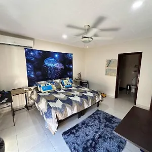 Homestay The Blue In Scuba House *