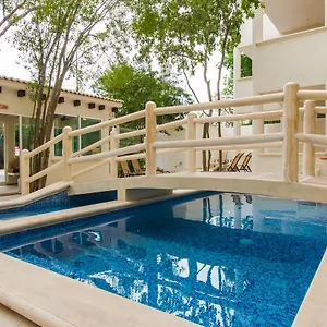 Casa Del Arbol