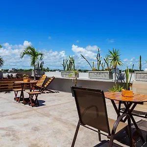 Hotel Siena 3*