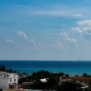 Comfortable W/ Views Rooftop Pool & Gym - 319 Musa Apartment Playa del Carmen