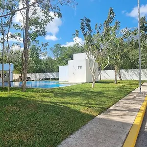 In Playa del Carmen