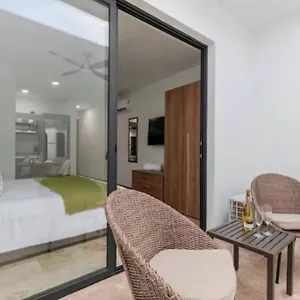 Menesse 38 King Bed Roof Pool Playa Center *
