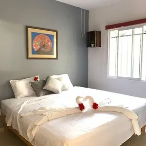 Departamento En Playa Del Carmen, La Casa De Leo 3 Apartment