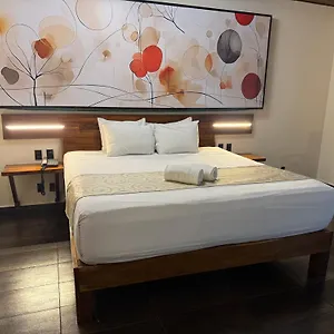 Kavia 5th Avenida (adults Only) 4*