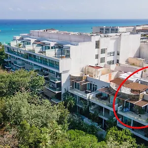 Apartment Spacious & Serene Penthouse With Rooftop, Jungle Views, Prime Location Steps To & 5th Ave Playa del Carmen