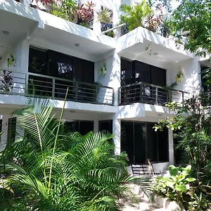 Villanovaceiba