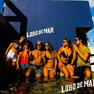Lobo De Mar * Playa del Carmen
