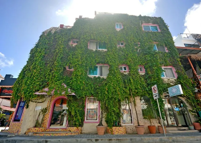 Boutique Hotel Delfin 5Th Avenue Πλάγια Ντελ Κάρμεν φωτογραφία