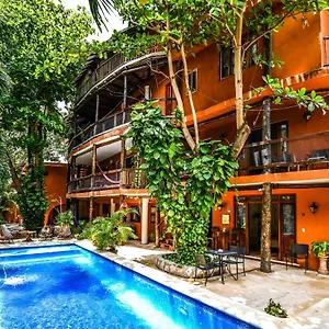Casa Freud * Playa del Carmen