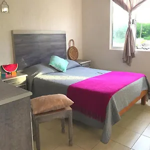Apartment Pitaya Playa Vacacional *