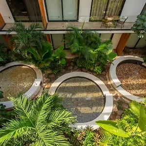 Cozy In Downtown - Few Steps From The