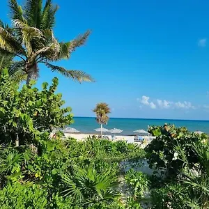 Beach Dream *