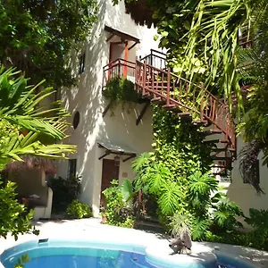 Apartment Brujas 8 *