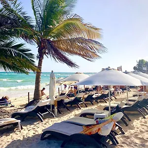 Hotel Silversands Boutique - 5th Ave Playa del Carmen