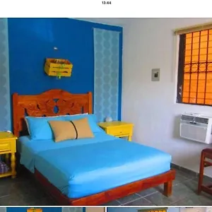 Casa De Hojas Apartment