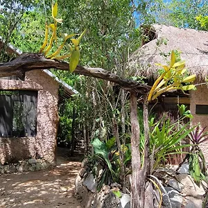 Casa & Palapa De La Selva Holiday home *