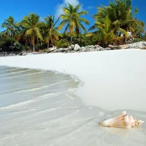 Apartment Caribe Grand Dream *