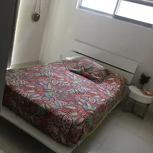 Condominio Anemona Apartment *